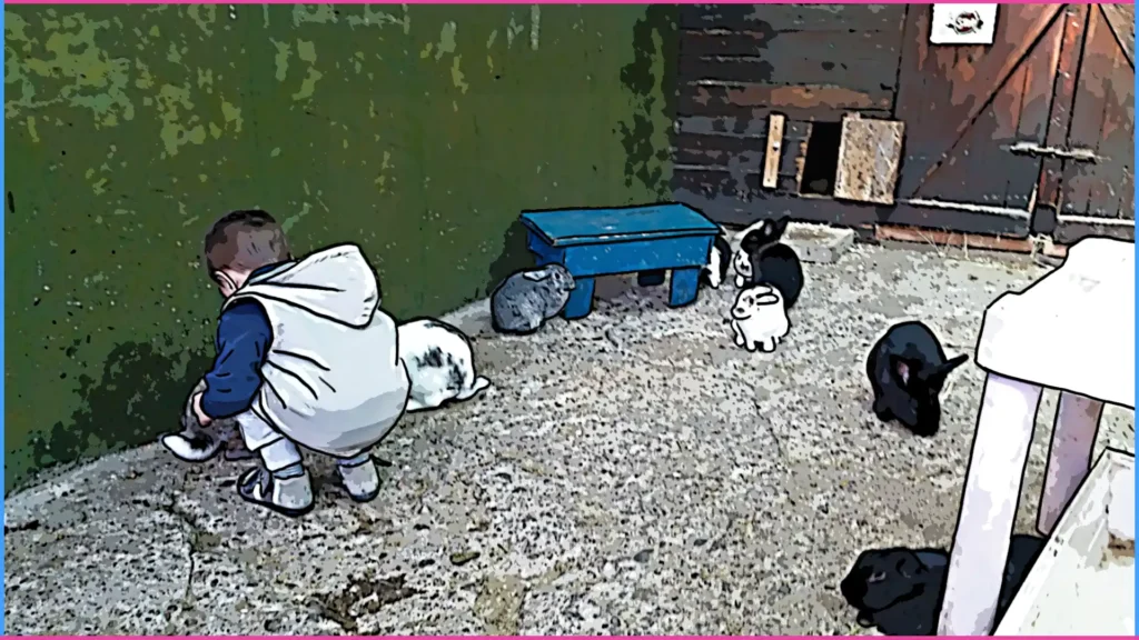 Ismeretbővítés kettő-kettő és fél éves korban