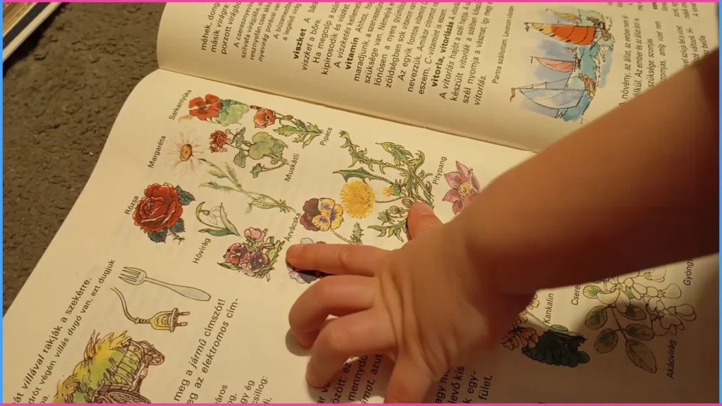 Nevezd nevén. Játék a szókincs bővítésére 