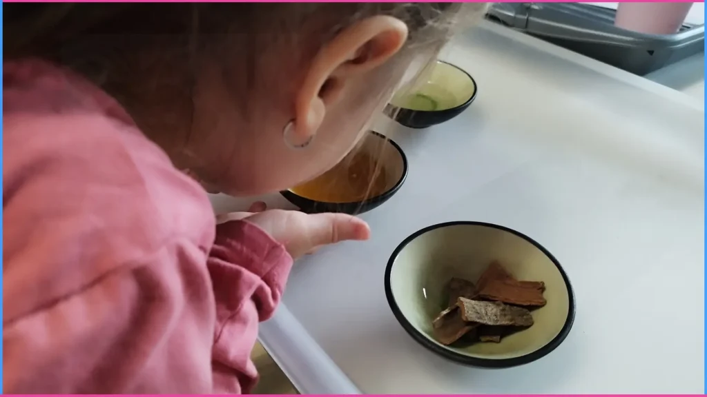 Figyelemfejlesztő játék illatokkal 2-2,5 éves korban.