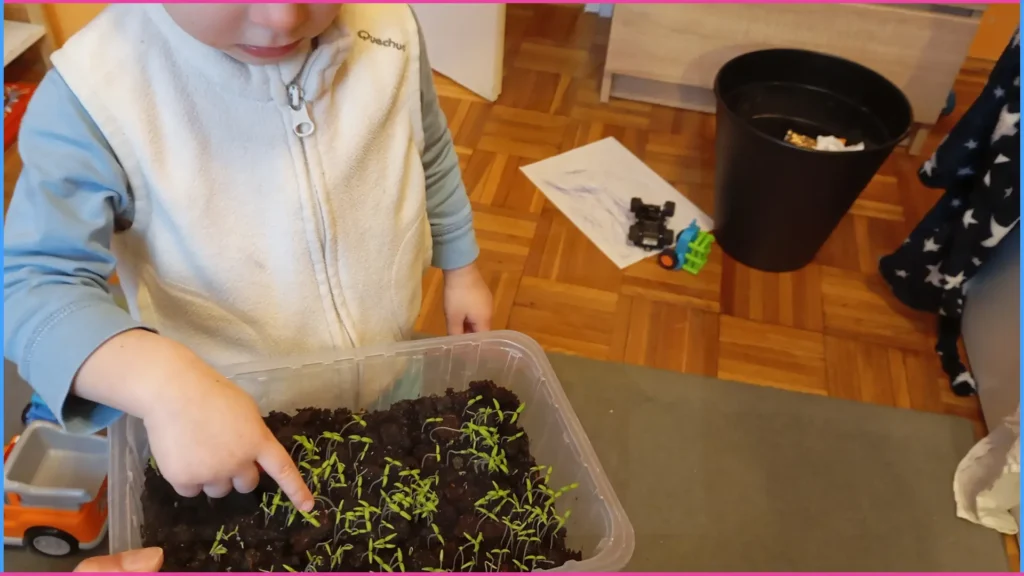 Játék a szeriális gondolkodás fejlesztésére