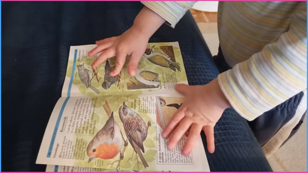 Szókincs bővítő játék 2,5-3 éveseknek 