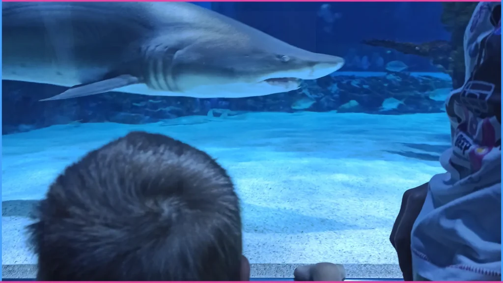 Tegnap, ma, holnap fogalmak gyakorlása