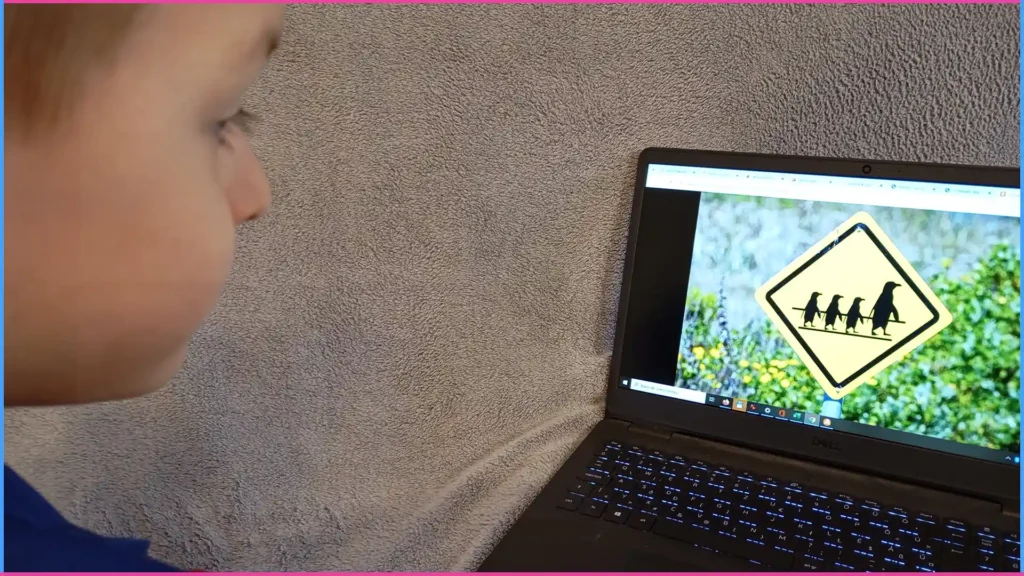 Vasúti átjáró. Hasznos és alapvető ismeretek a vasúti átjárót érintő közlekedésről 