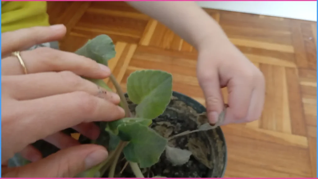 Környezetismeret, ismeretbővítés játékosan 